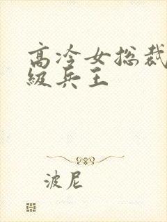 高冷女总裁的超级兵王