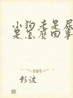 小狗老是尿,这是怎么回事