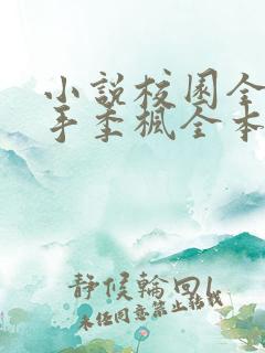 小说校园全能高手季枫全本免费下载