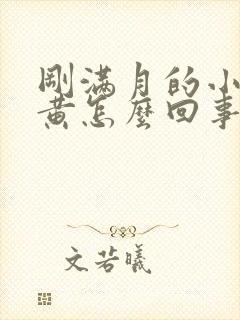 刚满月的小狗尿黄怎么回事