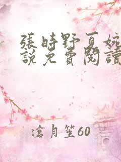 张时野夏婉央小说免费阅读笔趣阁