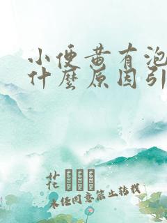 小便黄有泡沫是什么原因引起的女