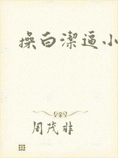 操白洁逼小说