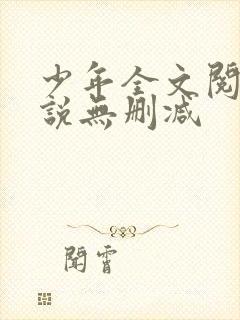 少年全文阅读小说无删减