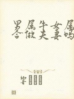 男属牛女属狗适合做夫妻吗