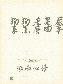 狗狗老是尿不出来怎么回事