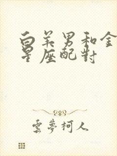 白羊男和金牛女星座配对