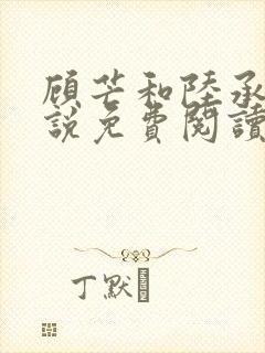 顾芒和陆承洲小说免费阅读