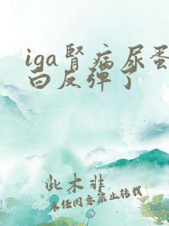 iga肾病尿蛋白反弹了