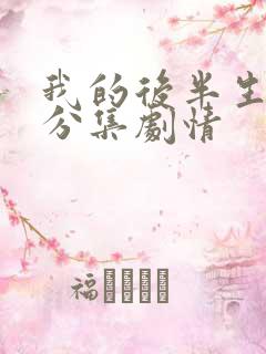 我的后半生剧情分集剧情