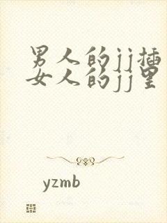 男人的jj插入女人的jj里