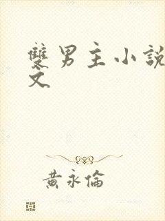 双男主小说总受文