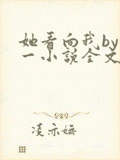 她看向我by徐一小说全文免费阅读