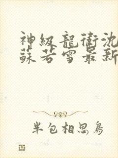 神级龙卫沈浪与苏若雪最新章节