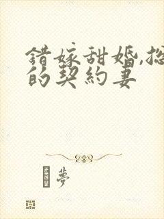 错嫁甜婚,总裁的契约妻