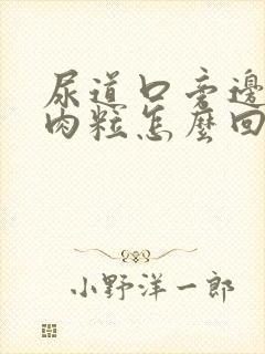 尿道口旁边有小肉粒怎么回事