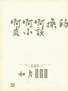 啊啊啊操的我好爽小说