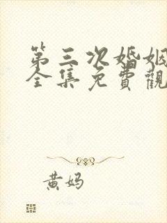 第三次婚姻韩剧全集免费观看