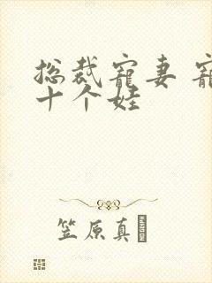 总裁宠妻 宠出十个娃