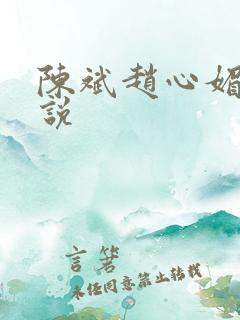 陈斌赵心媚的小说