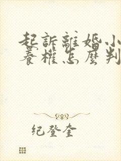 起诉离婚小孩抚养权怎么判