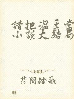 错把温柔当情深小说大结局