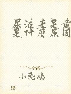 尿液老是黄色的是什么原因