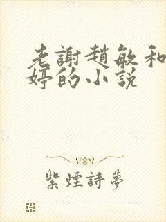 老谢赵敏和柳婷婷的小说