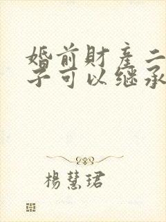 婚前财产二婚孩子可以继承吗