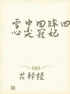 雪中回眸四爷的心尖宠妃