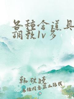 各种含道具高h调教1v多