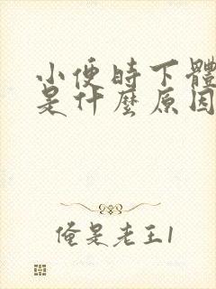 小便时下体刺痛是什么原因