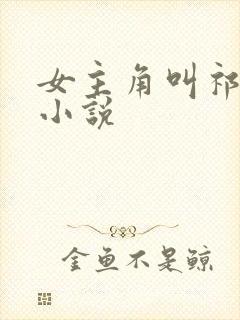 女主角叫祁月的小说