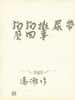 狗狗撒尿带血怎么回事