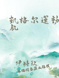 凯格尔运动盆底肌