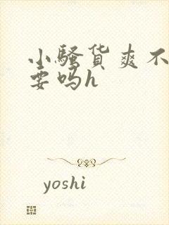 小骚货爽不爽想要吗h