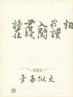 请君入我相思局在线阅读