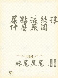 尿粘液丝很高是什么原因