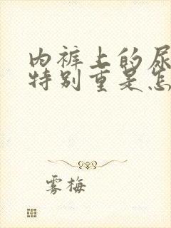 内裤上的尿骚味特别重是怎么回事