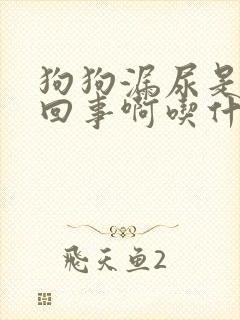 狗狗漏尿是怎么回事啊吃什么药