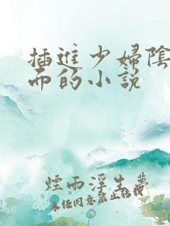 插进少妇阴道里面的小说