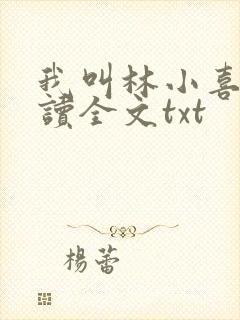 我叫林小喜全阅读全文txt