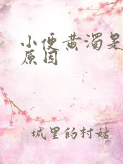 小便黄浊是什么原因