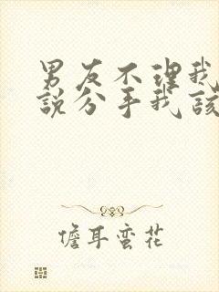 男友不理我也不说分手我该怎么办