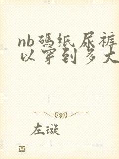 nb码纸尿裤可以穿到多大