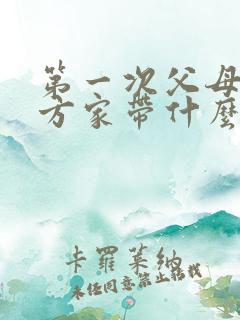 第一次父母去女方家带什么礼物好