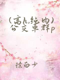 (高h,纯肉)公交车群p