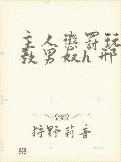 主人惩罚玩弄调教男奴h 邢邦勇著