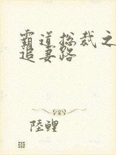 霸道总裁之漫漫追妻路