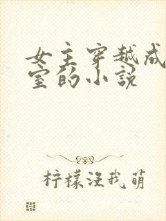 女主穿越成了外室的小说